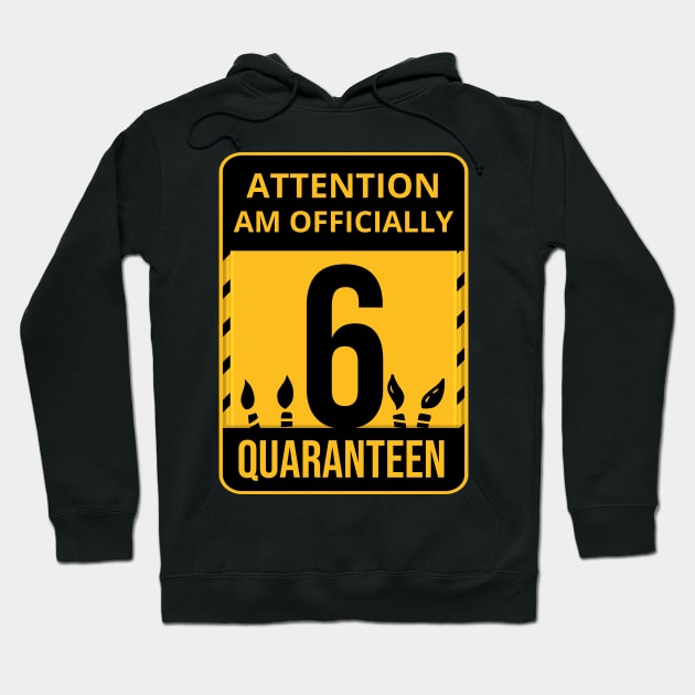 6th Birthday Officially a Quaranteen 6 Years Old Hoodie by heidiki.png